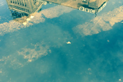 BBC Northern Ireland