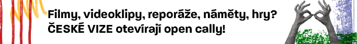 České vize
